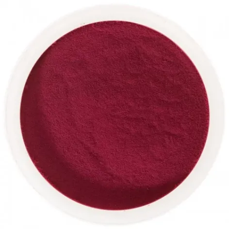 Elderberry Spray Dried Powder